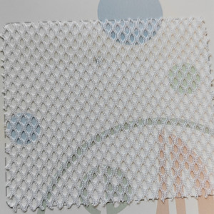 polyester mesh fabric TC458